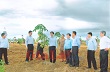 Phát triển cao su vùng biên giới Việt Nam-Campuchia: Thắt chặt tình đoàn kết, hữu nghị